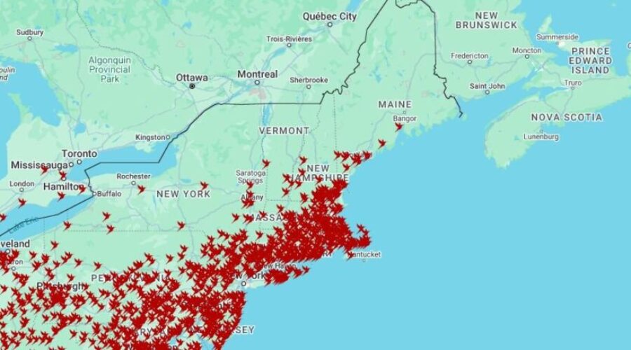 The Hummingbirds are coming!