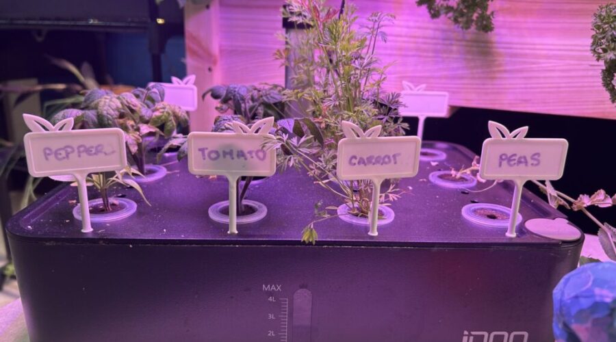 N.S. school garden program expands with more funding