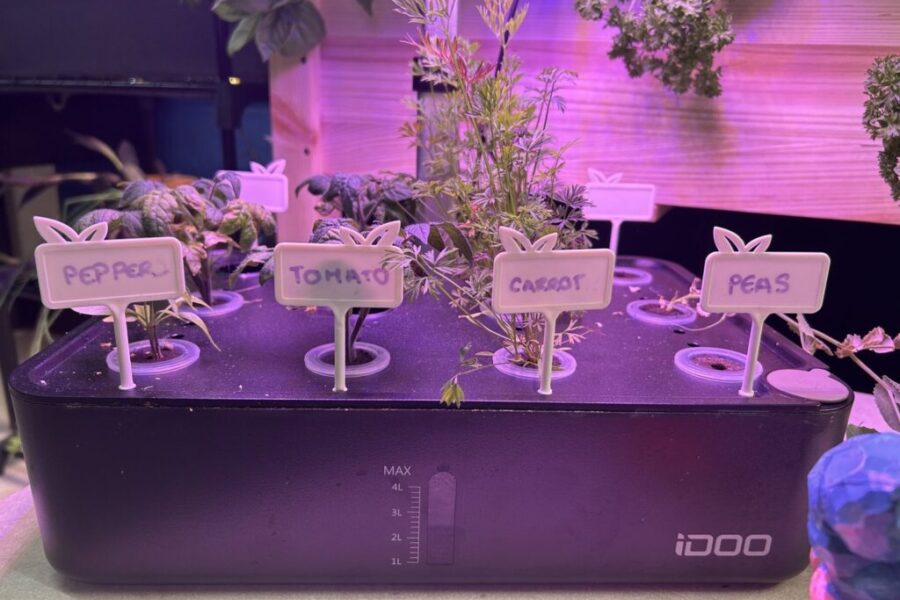 N.S. school garden program expands with more funding