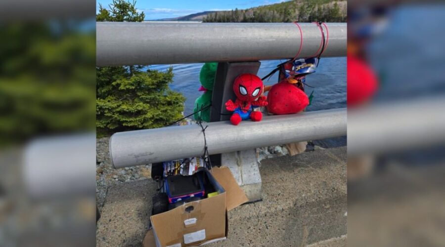 RCMP continue searching by air for missing boy in Guysborough County