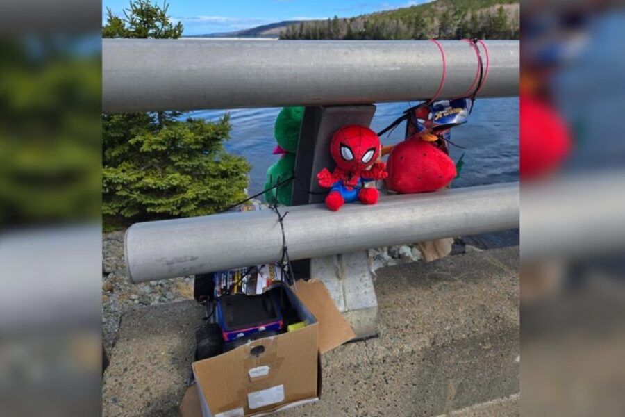 RCMP continue searching by air for missing boy in Guysborough County