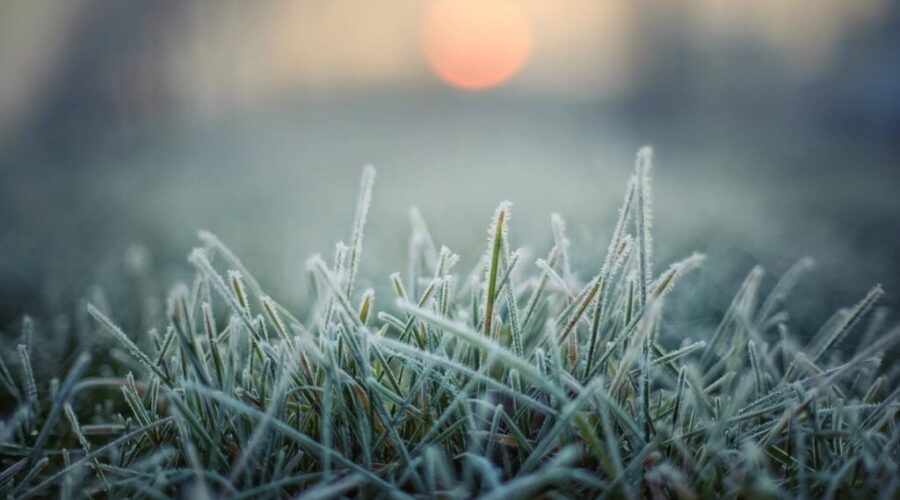 Frost advisory for N.S.
