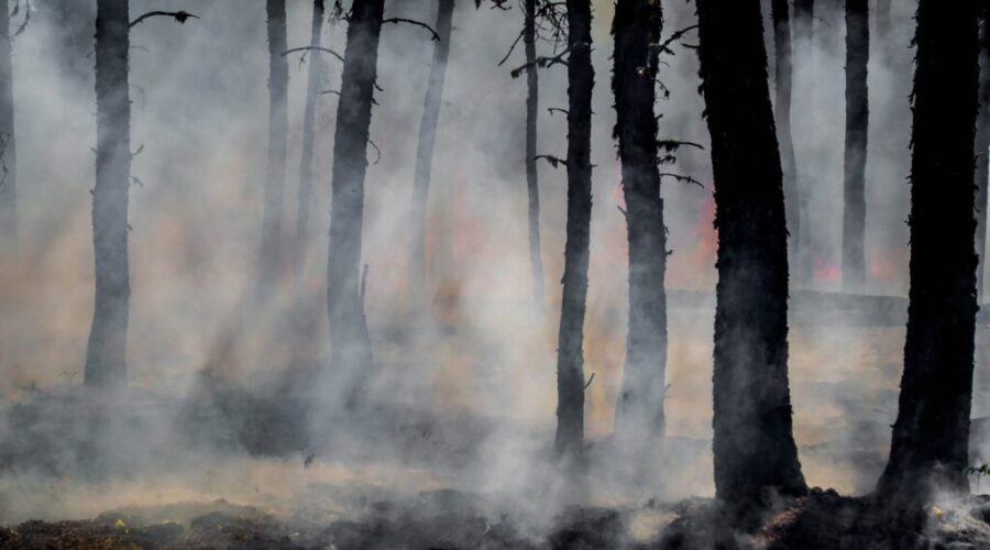 20 N.S. Firefighters heading to Saskatchewan to battle wildfires