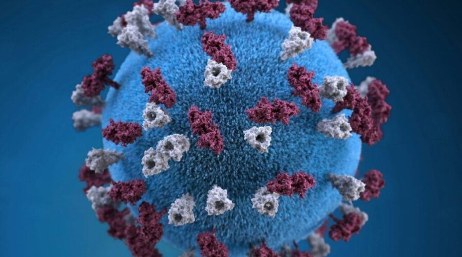 1 case of measles confirmed in N.S. says chief medical officer