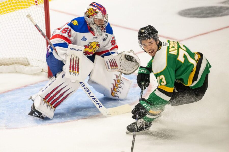 Wildcats fall to Knights in Memorial Cup semifinal