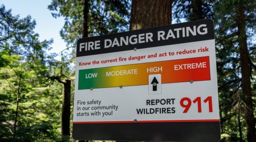 N.S. wildfire season on par with last year as officials investigate Ostrea Lake fire