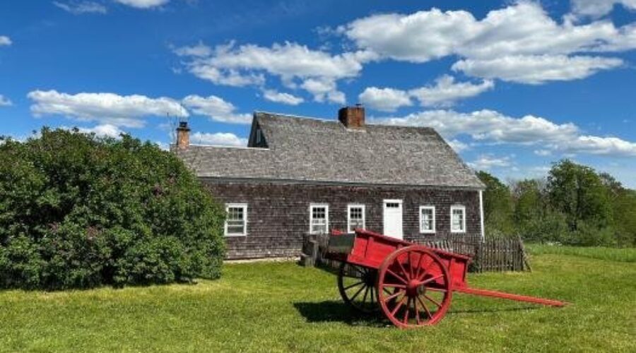 Traumatized horses should not return to Ross Farm Museum, says advocacy group