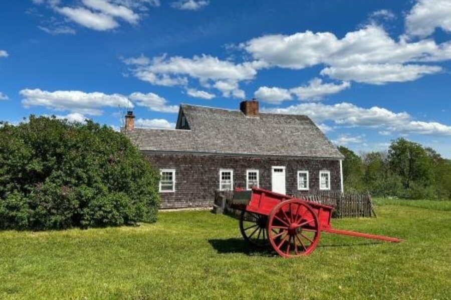 Traumatized horses should not return to Ross Farm Museum, says advocacy group