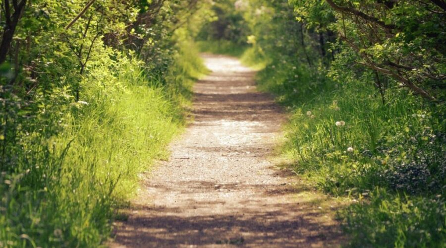 Back-to-back days of extreme heat across Nova Scotia