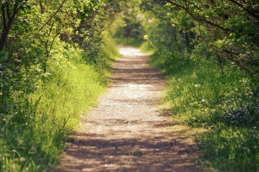 Back-to-back days of extreme heat across Nova Scotia