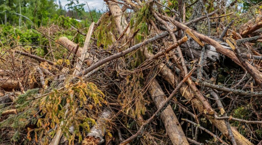 Dry conditions across N.S. with little rain in sight, burn-ban until mid-October
