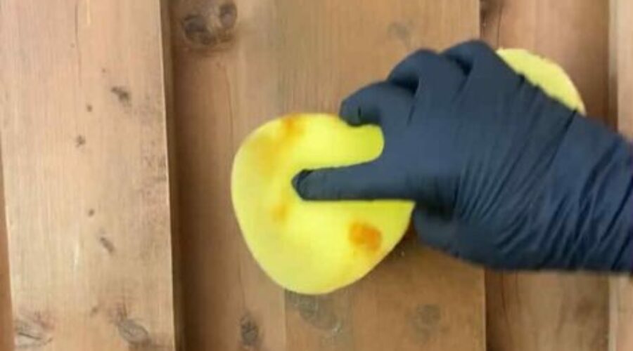 Fence staining project made quick and easy