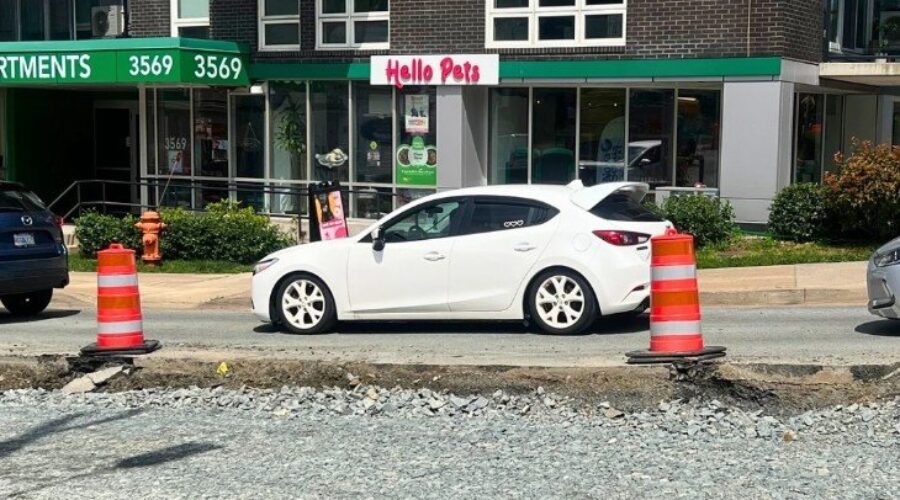 Halifax pet store watches sales dive from Dutch Village Rd overhaul