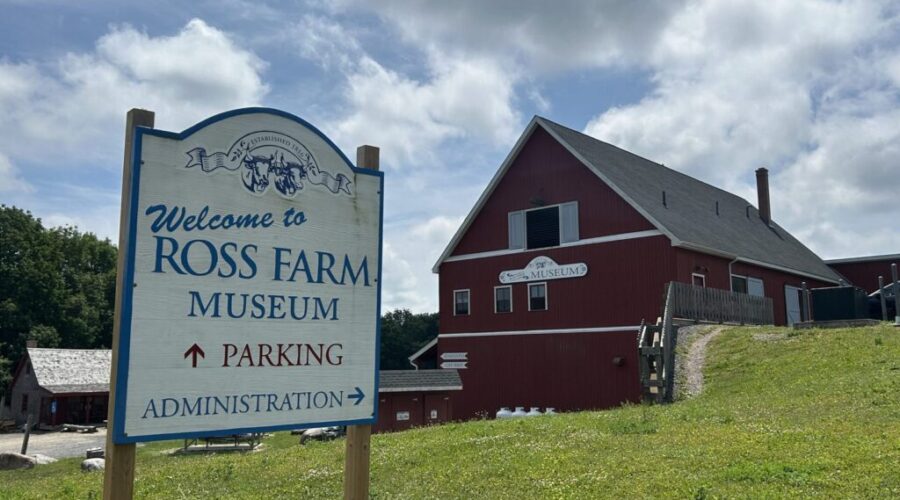 New head of Ross Farm says change is here, defends past treatment of horses