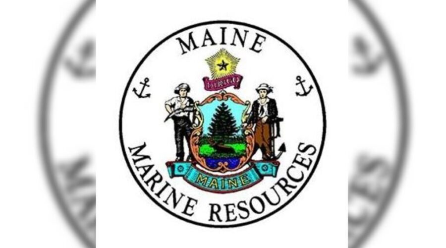 N.S. man dies after sailboat got trapped ashore in Maine