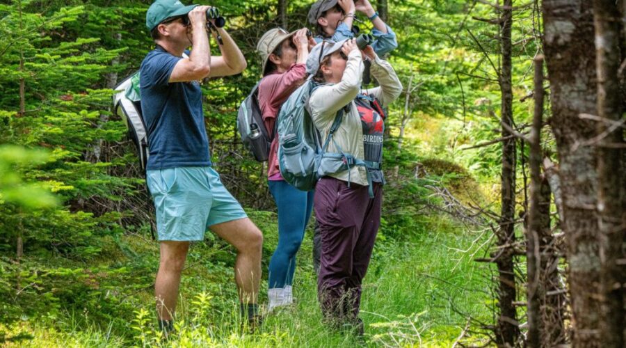 National wildlife survey expands to full week