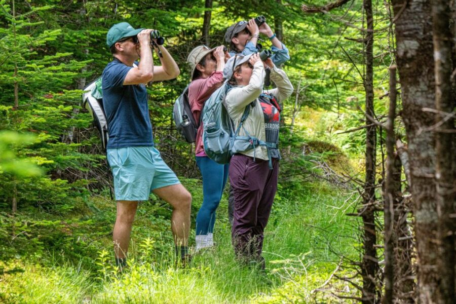 National wildlife survey expands to full week