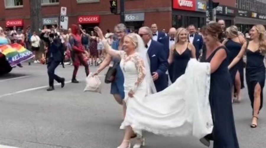 ‘Exhilarating’: Wedding party joins Halifax Pride Parade en route to venue