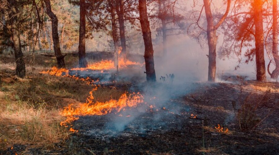 Long Lake wildfire crews brace for strong winds from Hurricane Erin