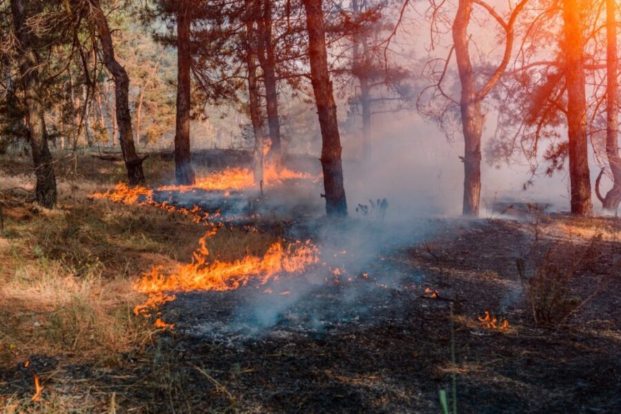 15 wildfires burning, Long Lake blaze now over 1,000 hectares