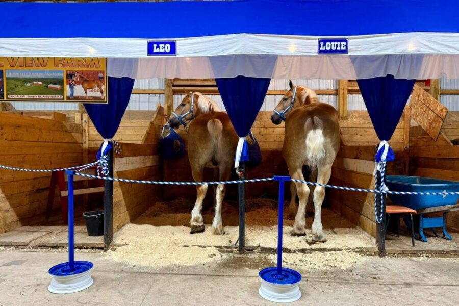 Eastern Nova Scotia Exhibition back for 159th year