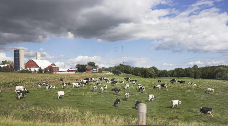 N.S. trying to help farmers through pressures of drought