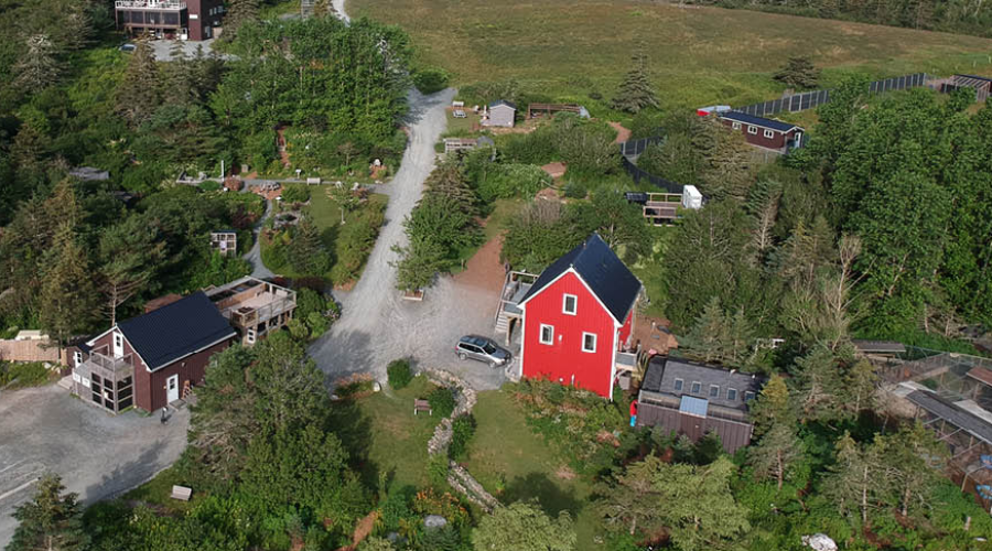 Hope for Wildlife event off due to woods bans and fires