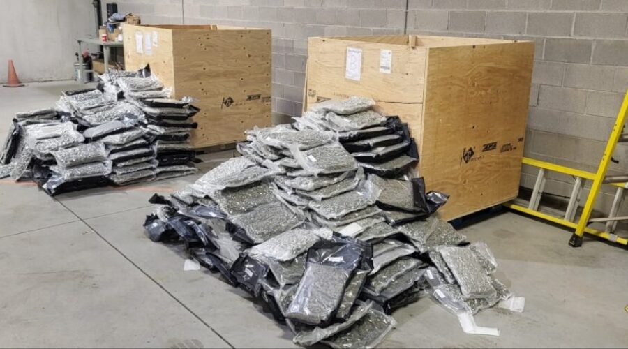 Illegal cannabis distribution network busted