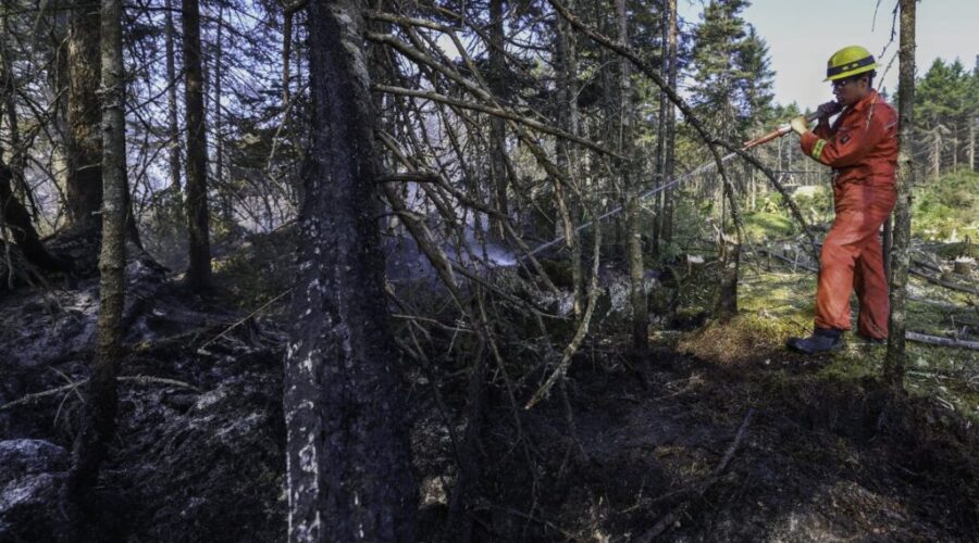 Nova Scotia wildfires stable, but Hurricane Erin winds a concern for crews