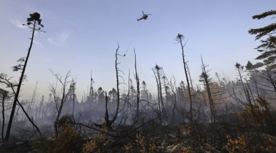Evacuations for businesses lifted near Susies Lake wildfire