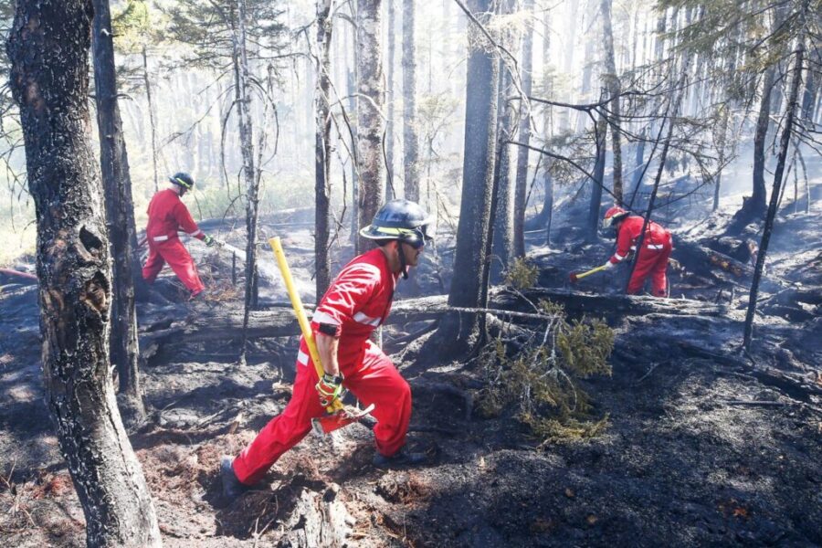Fighting a wildfire now could be more challenging than in 2023: fire union