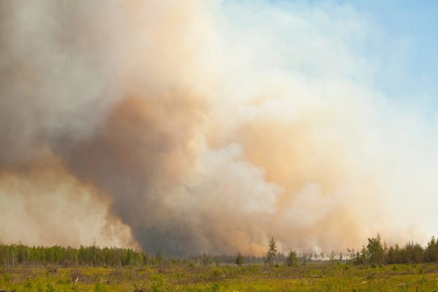Wildfire in Kings County now being held