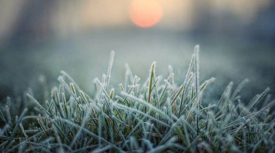 Frost advisory for Antigonish County