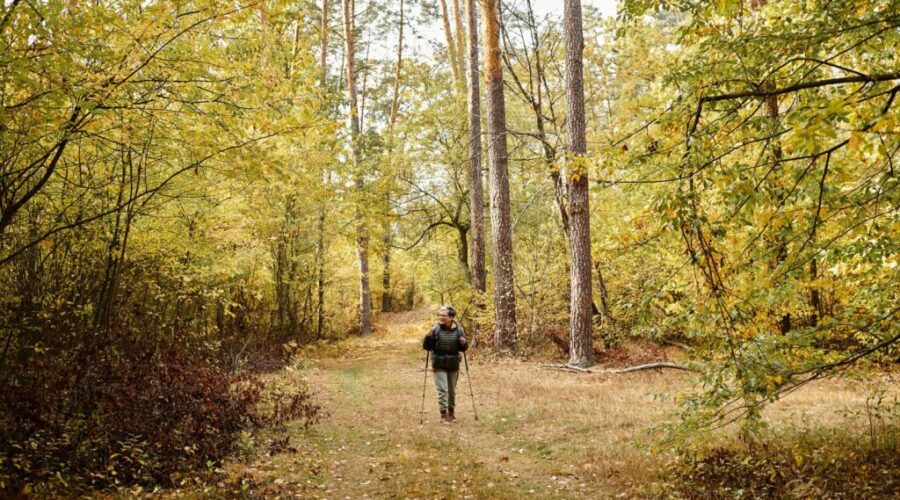 Fall begins Monday afternoon