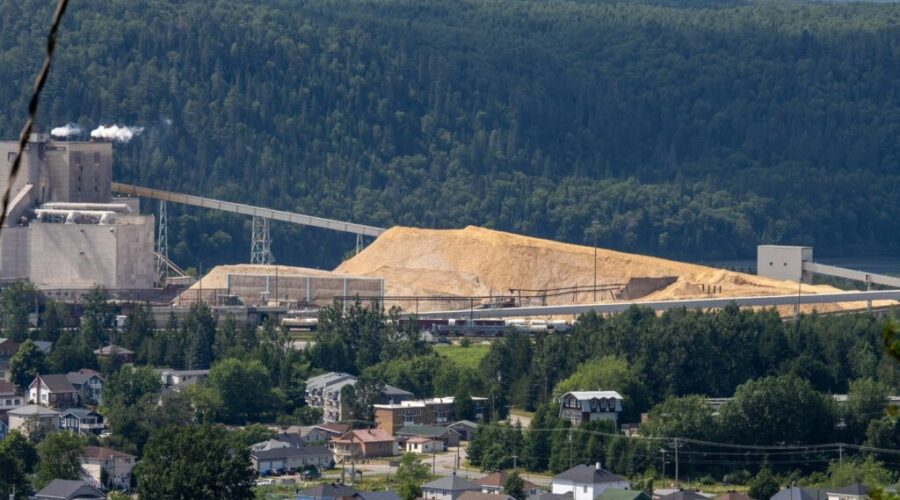 Halman says no timeline yet on Northern Pulp cleanup plan