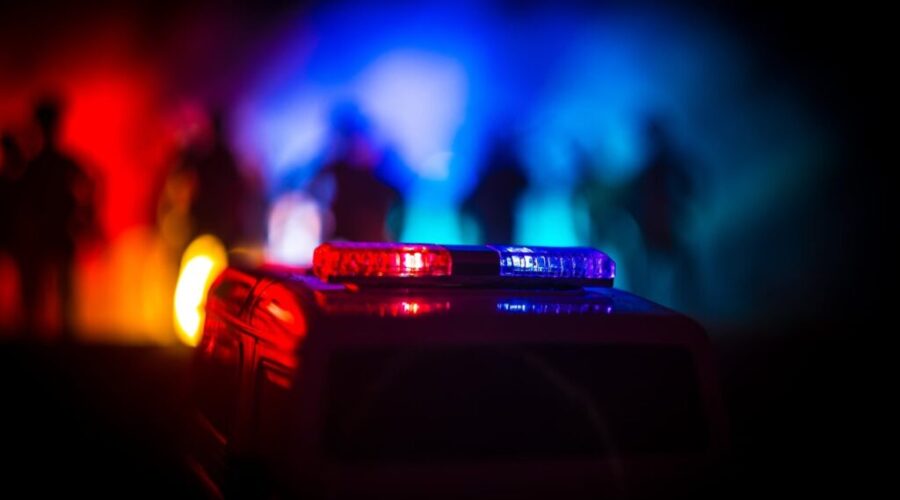 Minister says progress is being made in fight against auto theft