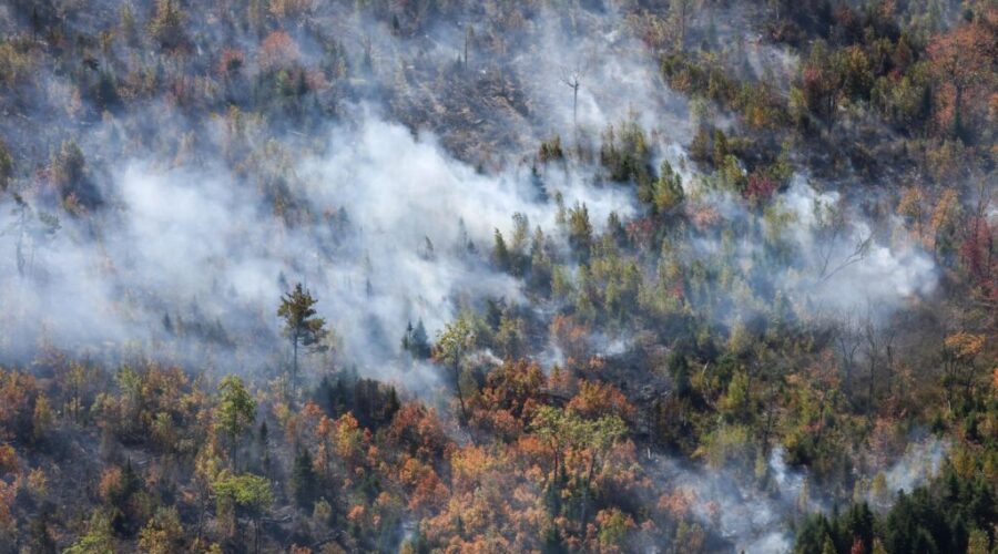 More firefighters helping to battle Lake George wildfire