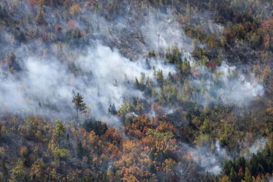 More firefighters helping to battle Lake George wildfire