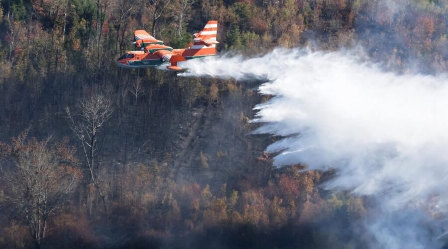 Kings County wildfire under control