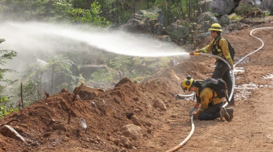 New report says province should manage firefighting