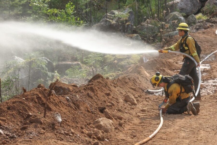 New report says province should manage firefighting