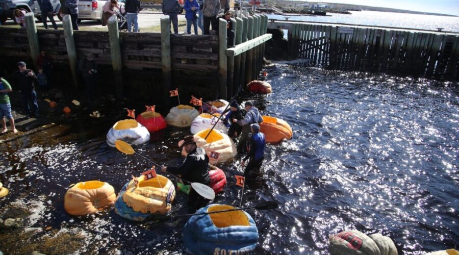 Giant pumpkin racing part of N.S. Thanksgiving tradition