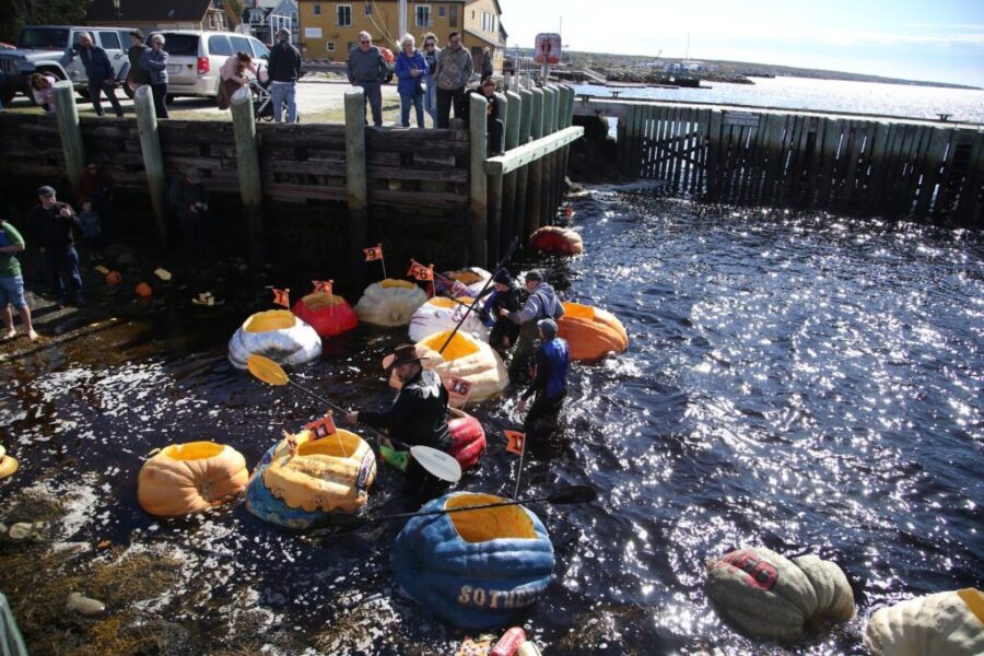 Giant pumpkin racing part of N.S. Thanksgiving tradition