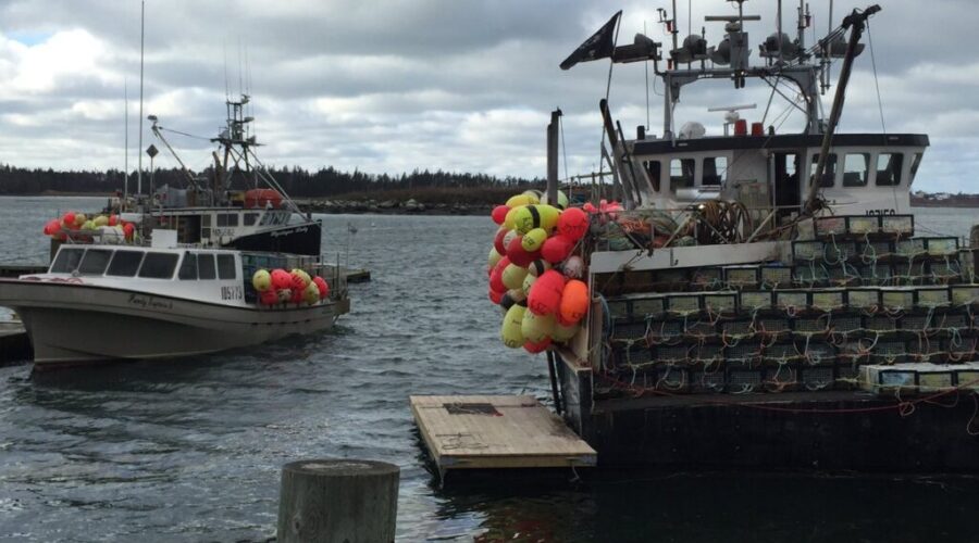 It’s ‘Dumping Day’ in western N.S. as fall lobster fishery opens