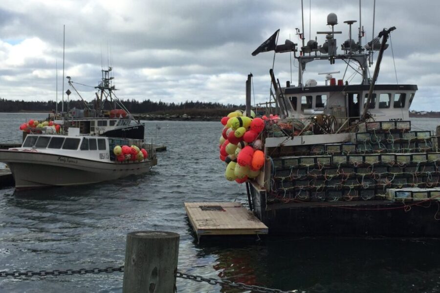 It’s ‘Dumping Day’ in western N.S. as fall lobster fishery opens