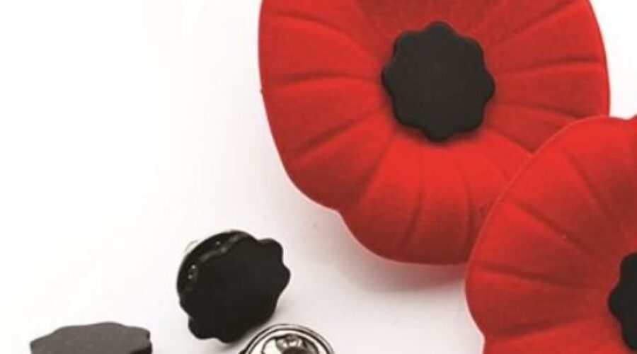 Best ways to keep your Poppy on