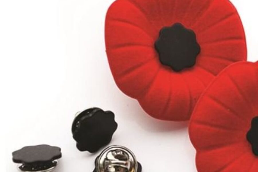 Best ways to keep your Poppy on