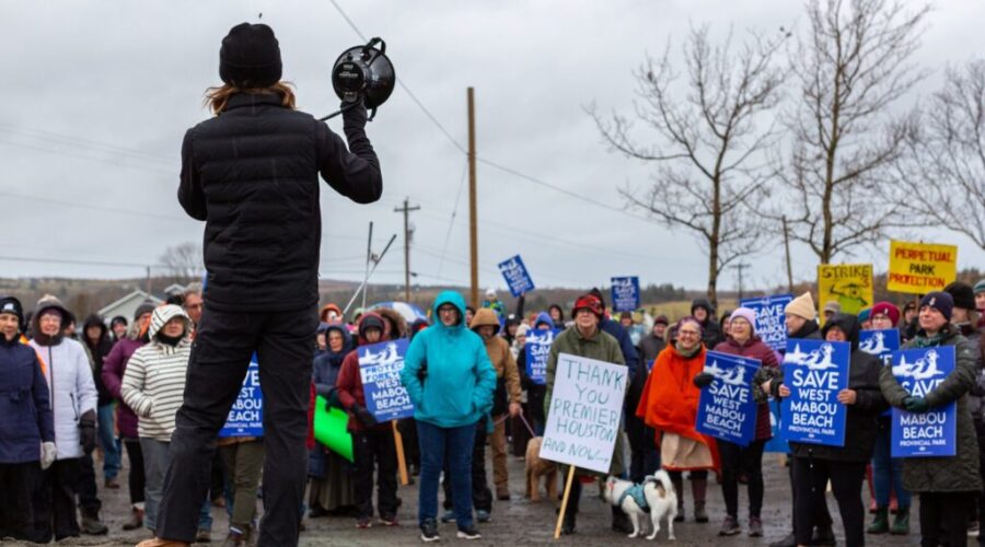 Local graphic novelist is standing up for West Mabou Beach