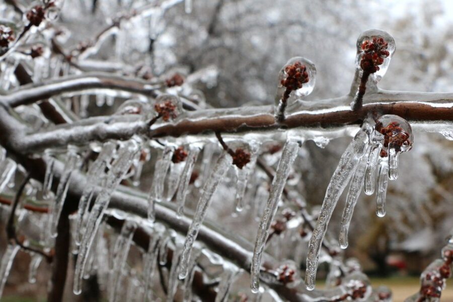 Freezing rain warning for parts of N.S.