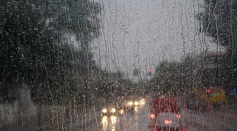 Nor’easter arrives in N.S. bringing rain, snow and heavy wind